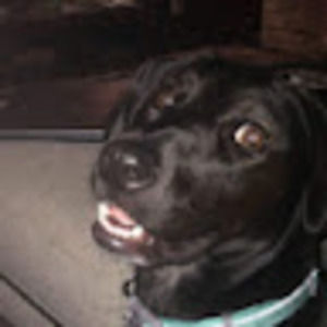 Meet your Posher, Caroline